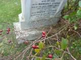 image of grave number 394107